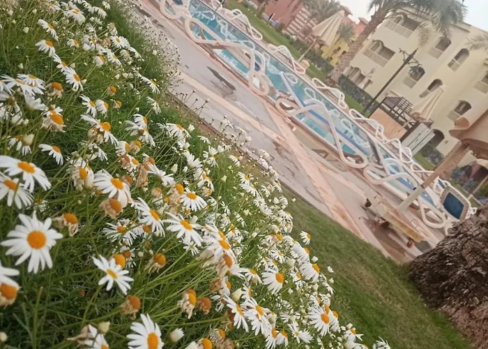 Porto South Beach, Sea & Pool View - شاليهات مودرن راقية بورتو ساوث بيتش فيو البحر والبيسين *
